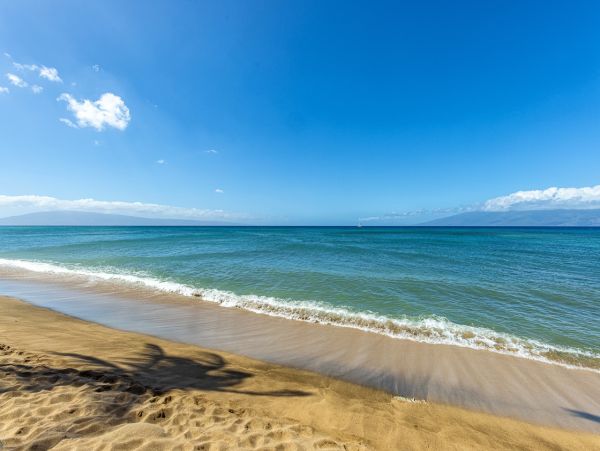 Wake to the Views of The Pacific Ocean from Your Bed!!