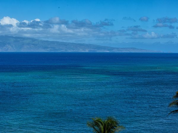 Wake to the Views of The Pacific Ocean from Your Bed!!