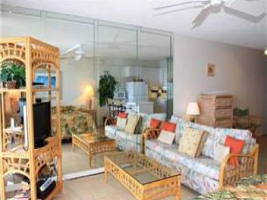 Living area with TV