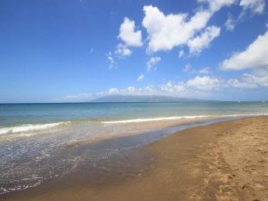 Beach View