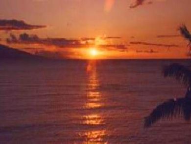 Wonderful Sunsets