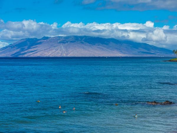 Amazing 2 Bedroom Oceanfront Condo with Sweeping Views