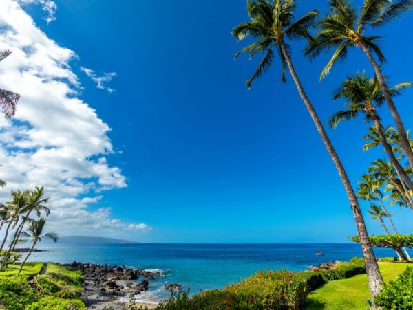 Amazing 2 Bedroom Oceanfront Condo with Sweeping Views