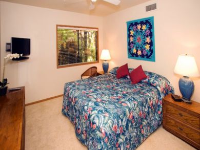 Master bedroom with flar screen