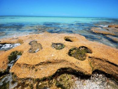 Siesta Key Vacation Rental