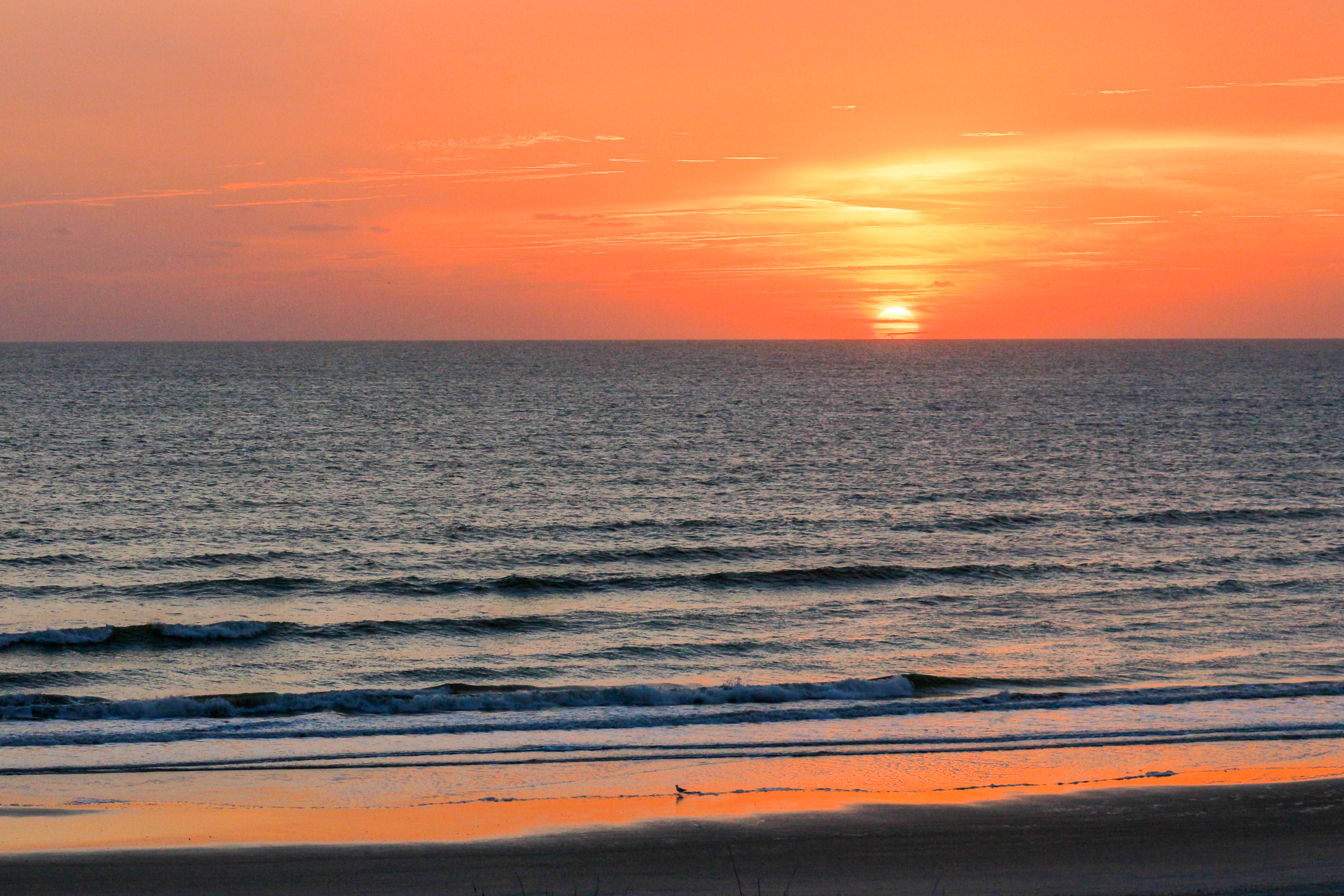 Cocoa Beach Condo 904935