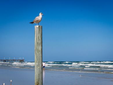 Cocoa Beach Home 904936