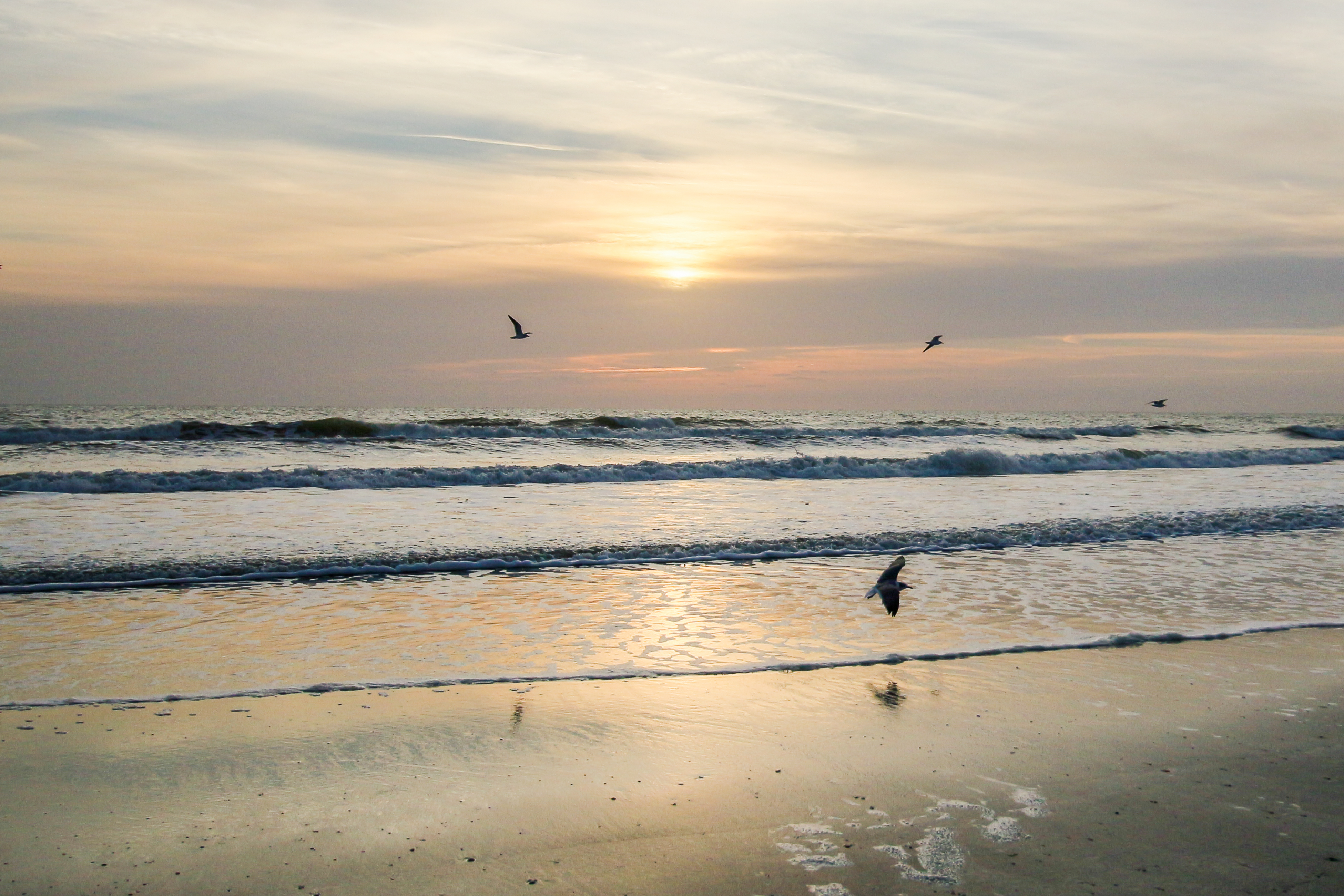 Cocoa Beach Home 904959