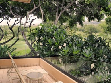 Back balcony with golf course view