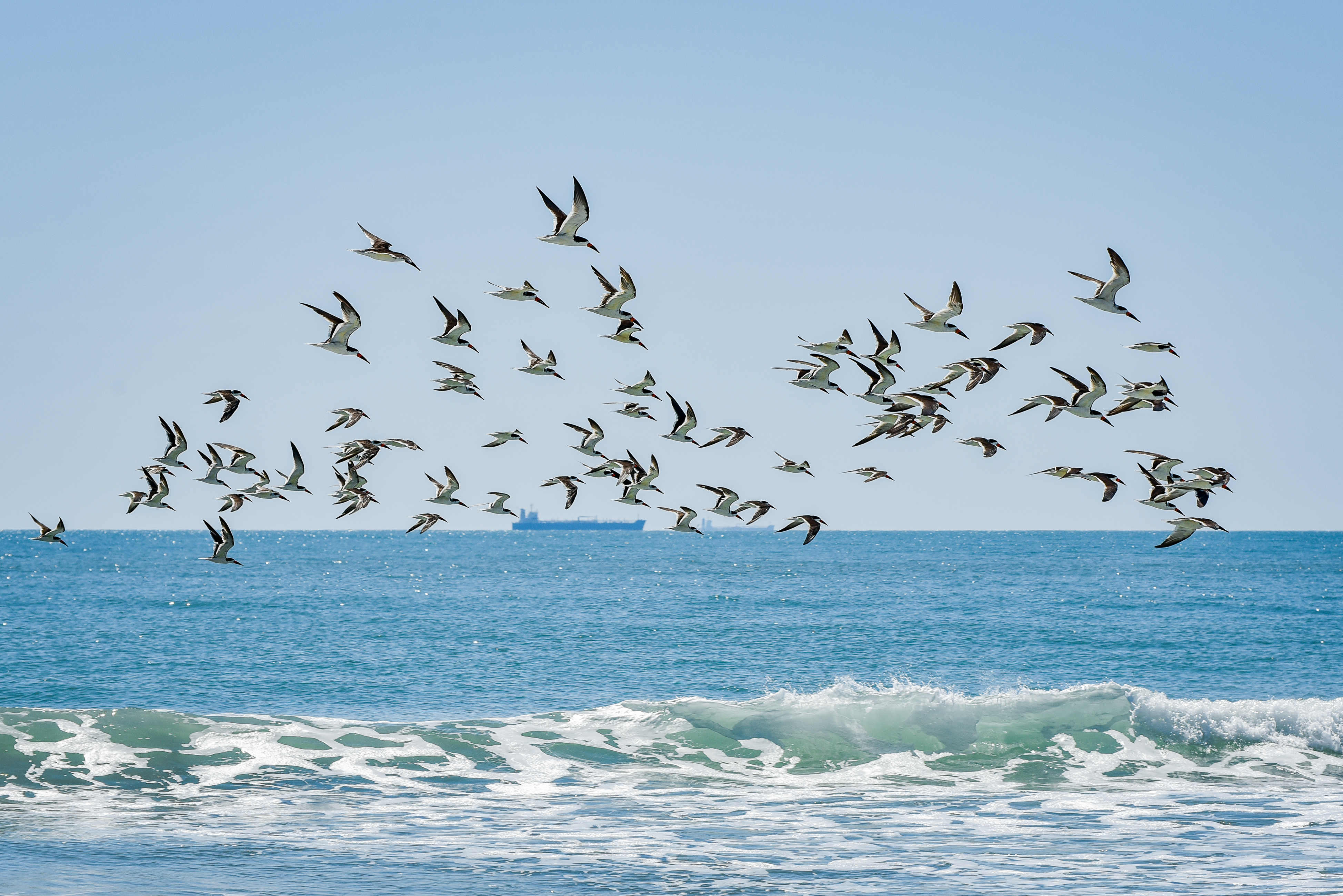 Cocoa Beach Condo 904965