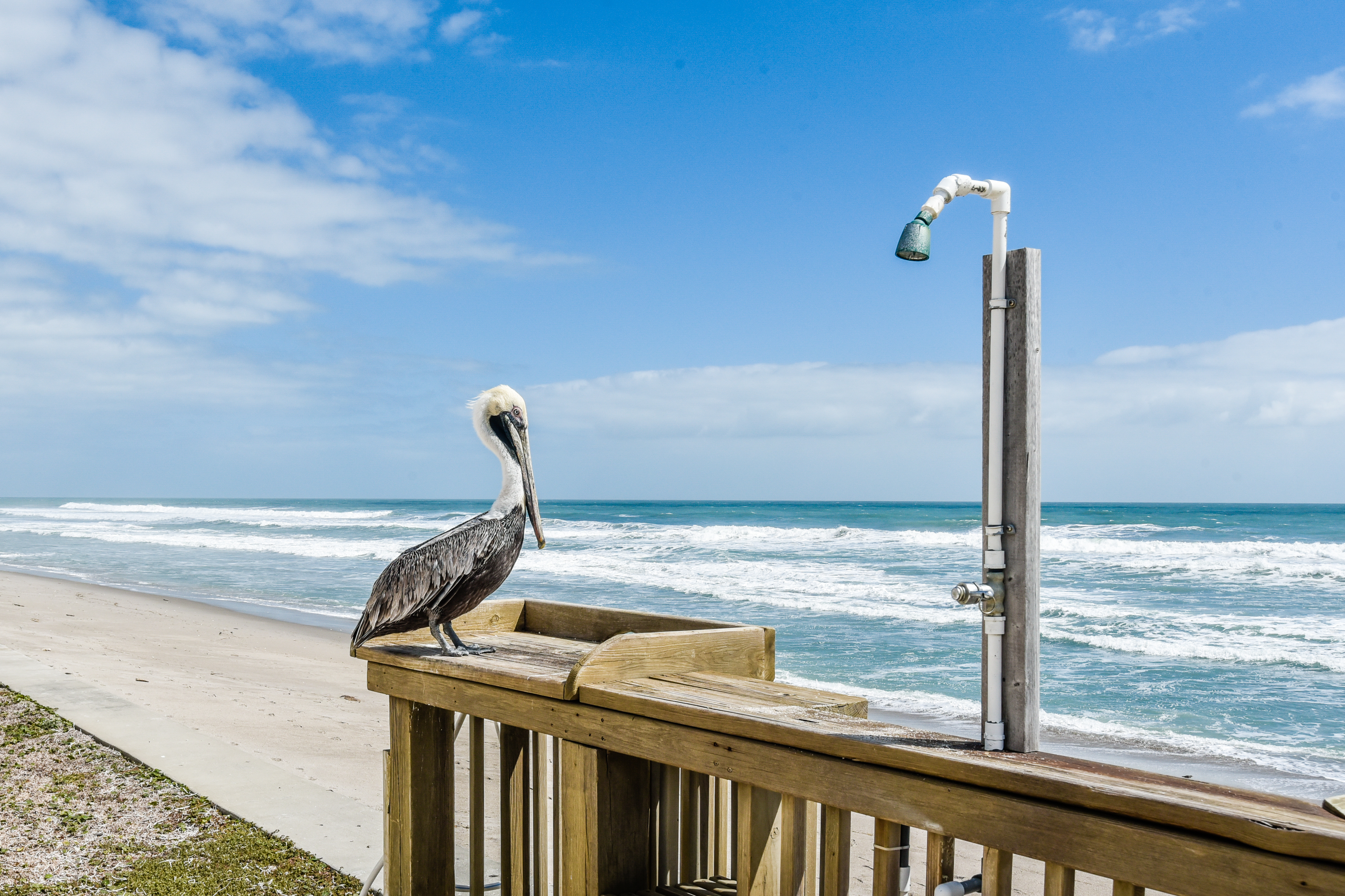 Cocoa Beach Condo 904967 Cocoa Beach Condo 904967