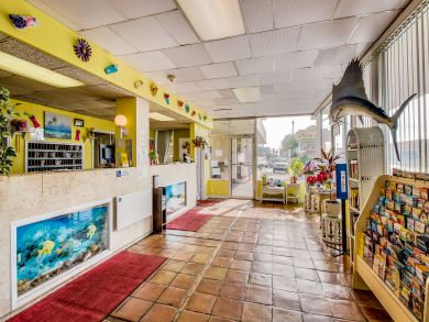 Daytona Beach Condo 904987