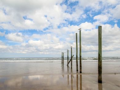 Daytona Beach Condo 904992