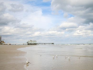 Daytona Beach Condo 904992