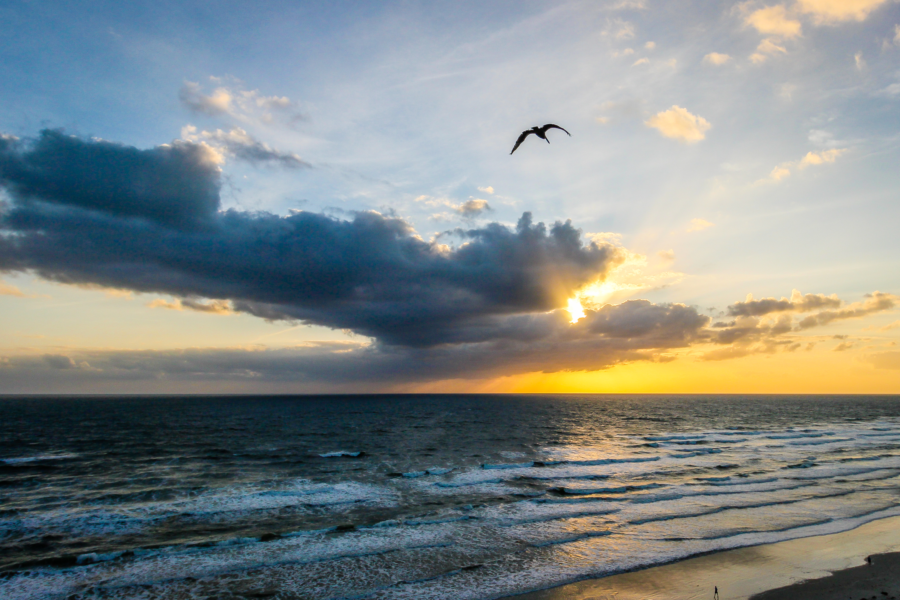 Daytona Beach Condo 904996