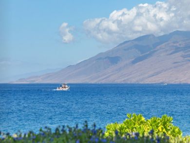 Oceanfront Maui Vacation Rental with Three Bedrooms
