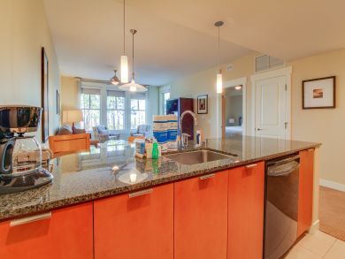 Beaches Of South Walton Condo 905149