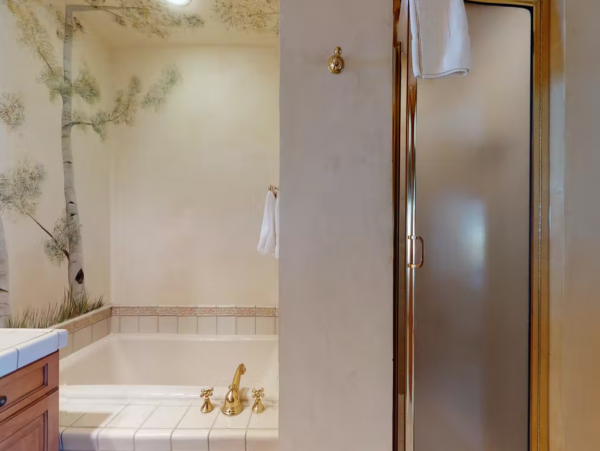 Four Bedroom Plus Den Ski Rental in Vail Sleeps 12 Walk to Lift