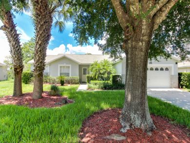 Orlando Home 905221