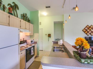 Orlando Condo 905224