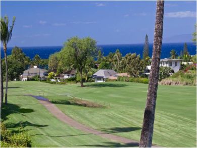 Golf Course & Ocean View Condo in Wailea, Hawaii