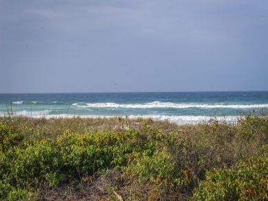 Panama City Beach Condo 905299