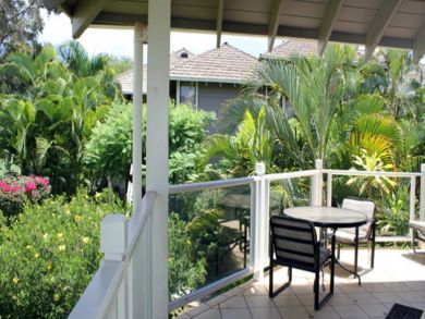 Tropical garden view