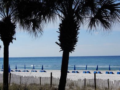 Panama City Beach Condo 905302