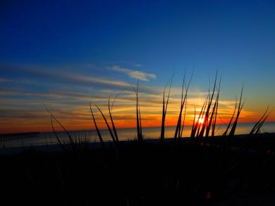 Panama City Beach Condo 905302