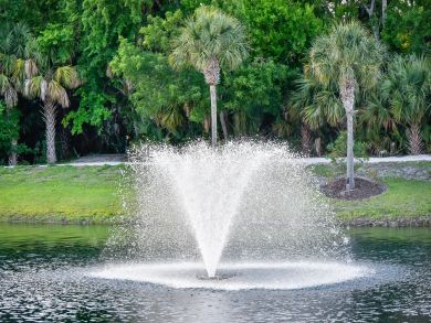 St. Augustine Home 905317