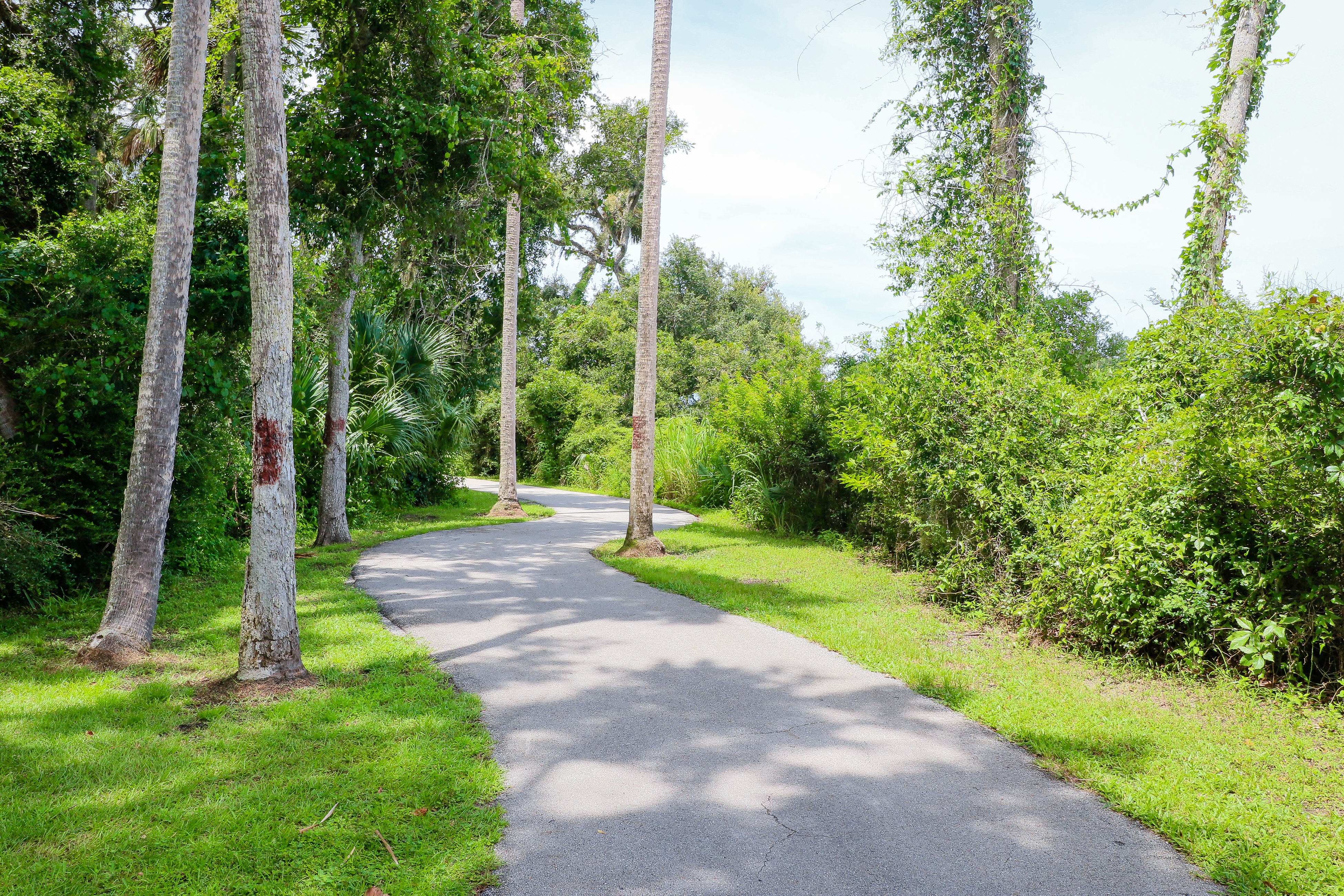 Palm Coast Home 905323