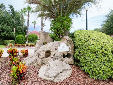 Palm Coast Home 905323