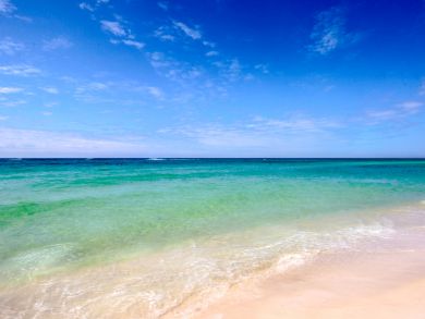 Panama City Beach Condo 905324