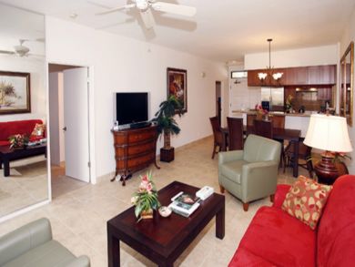Flat screen TV & DVD player in living area