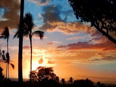 Amazing Sunsets