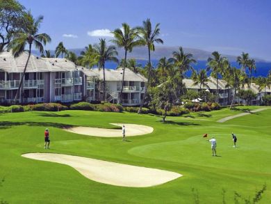 Wailea Condo 90546