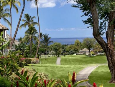Wailea Condo 90546