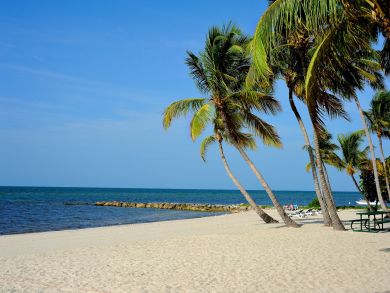 The Florida Keys Condo 905463