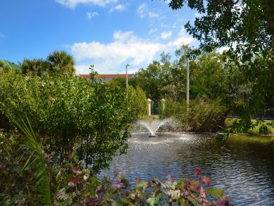The Florida Keys Condo 905474