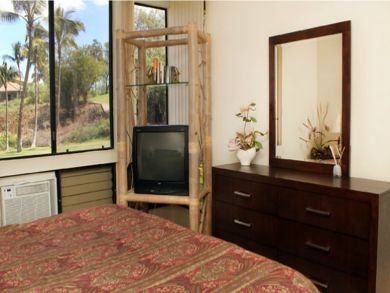 Master bedroom with TV