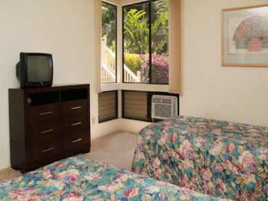 Guest bedroom with TV