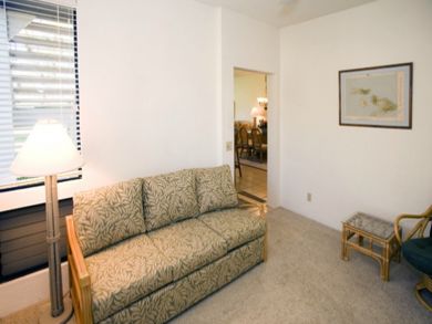 Den with sofa bed