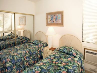 Guest bedroom with twin beds