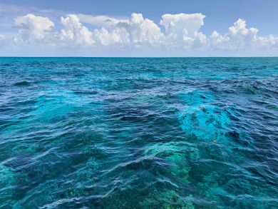 The Florida Keys Condo 905531 The Florida Keys Condo 905531