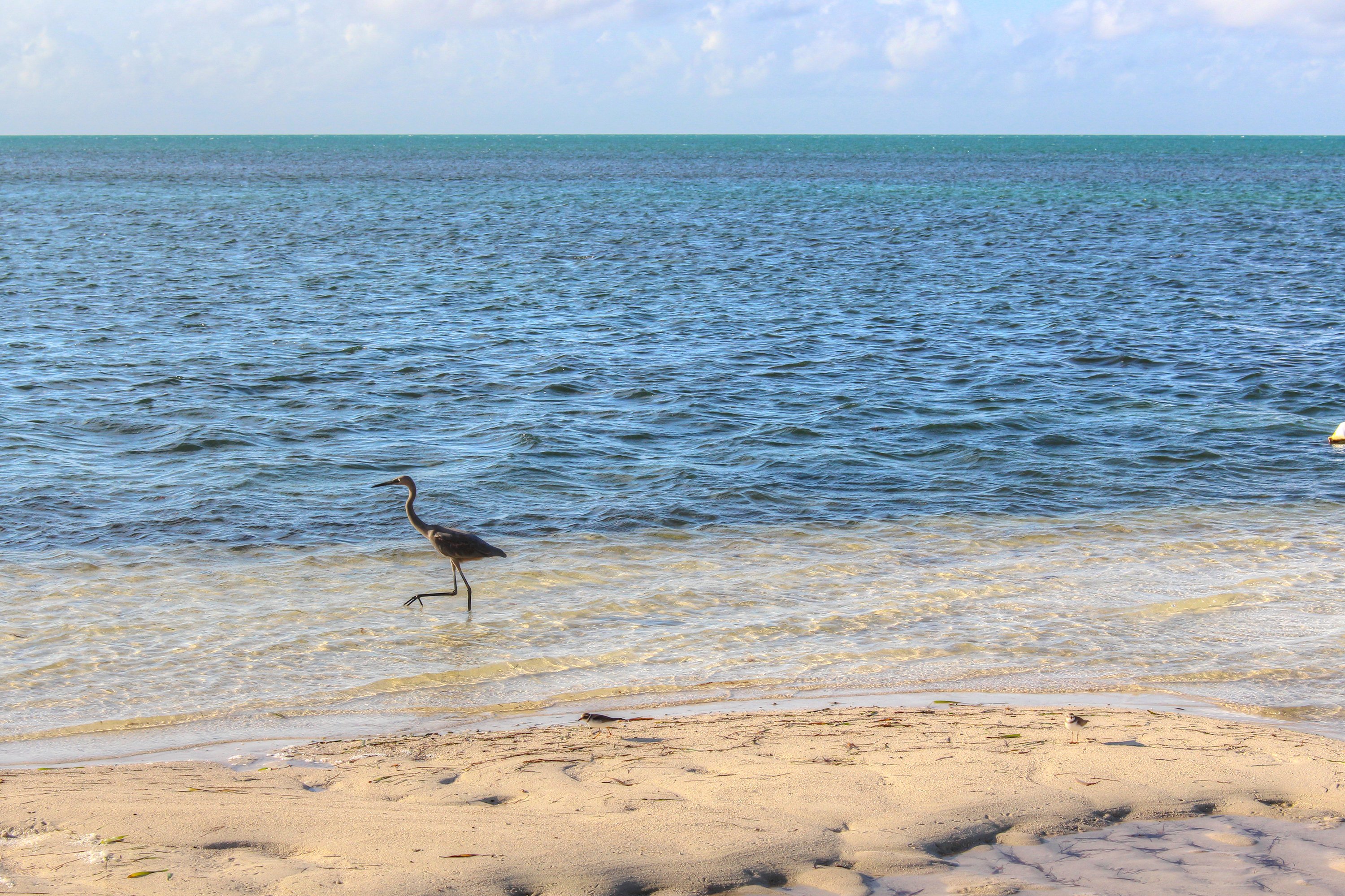The Florida Keys Home 905546