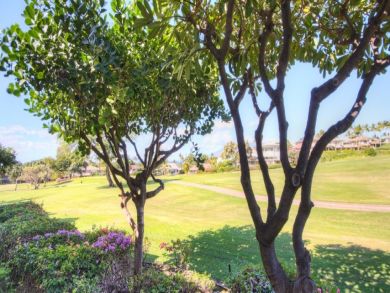 Trees on Golf Course