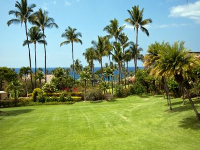 Wailea vacation studio with ocean view