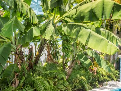 The Florida Keys Home 905587