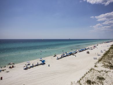 Panama City Beach Condo 905588
