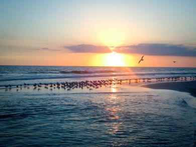 Panama City Beach Condo 905594